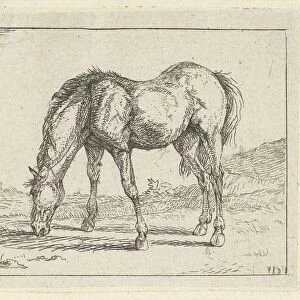 grazing horse left, Jan Dasveldt, 1780 - 1855