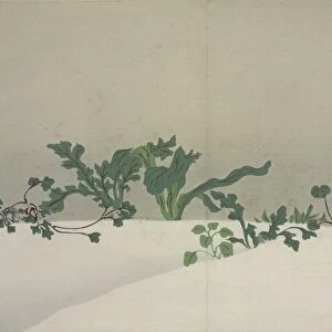 Green Plants. Kamisaka, Sekka, (Artist), Date Issued: 1909, Momoyogusa = Flowers