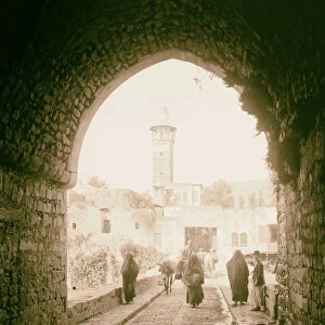 Hama Hamath Street Orontes 1900 Syria Ḥamāh