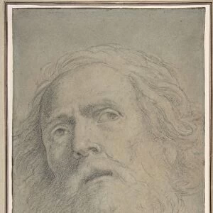 Head Bearded Man 1620-30 Black chalk highlighted