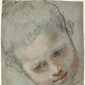 Head of a Boy (recto), Figure Studies (verso)