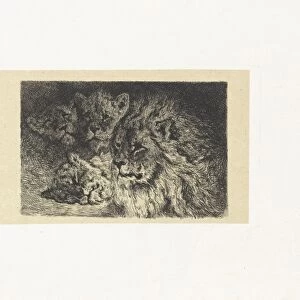 Lion and lioness, Frederik Willem Zurcher, 1845 - 1894