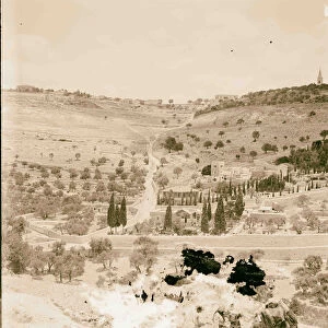 Mount Olives west camel foreground 1898 Jerusalem