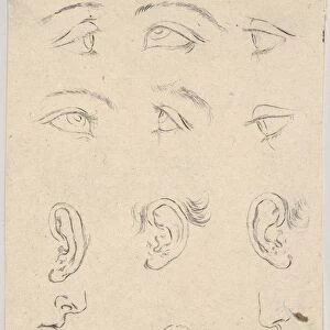 Plate 3 six eyes three Ears two Profiles mouth