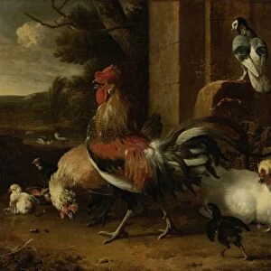 Poultry Yard, Melchior d Hondecoeter, c. 1660 - c. 1665