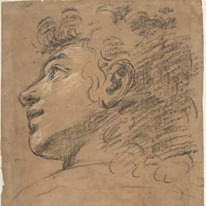 Profile Head Youth Looking Upper Left Study Clasped Hands