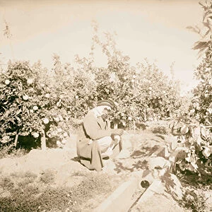 Rehovath Orange groves 1934 Israel Reḥovot