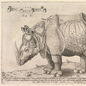 Rhinoceros 1542 date changed 1548 Engraving sheet