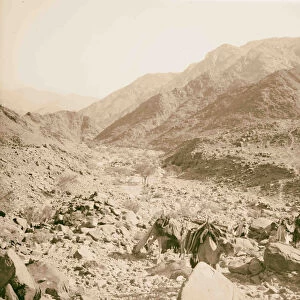 Sinai Red Sea Tor Wady Hebran Narrow defile watershed