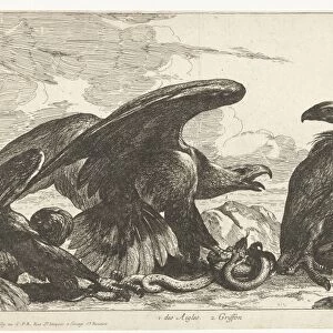 Vulture and an eagle with snake, print maker: Peeter Boel attributed to, Peeter Boel