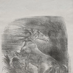 Wild Horse Frightened Horse Leaving Water 1828