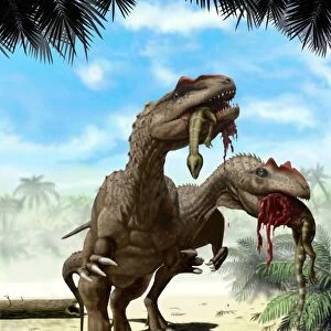 Two Allosaurus with a Hypsilophodon in mouth as next meal