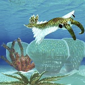 Anomalocaris sneaks up on a Trilobite in Cambrian seas