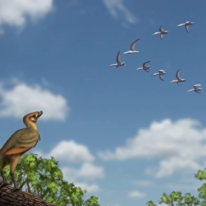 An Archaeopteryx observing a flock of migrating pterosaurs