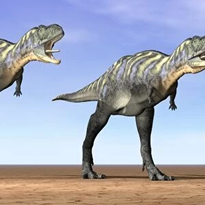 Three Aucasaurus dinosaurs standing in the desert by daylight