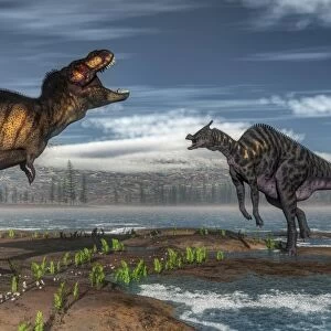 Battle between Tyrannosaurus rex and Saurolophus