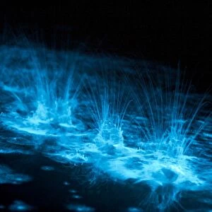 Bioluminescence splashes in the Gippsland Lakes, Victoria, Australia
