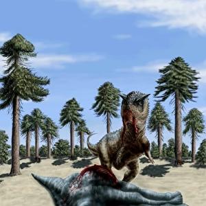 A Carnotaurus eating the flesh of a dead Chubutisaurus