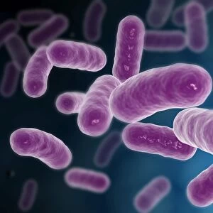 Conceptual image of bacteria