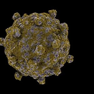 Conceptual image of coxsackievirus