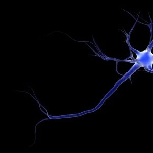 Conceptual image of a neuron
