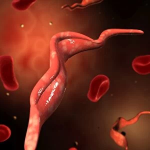 Conceptual image of Trypanosoma