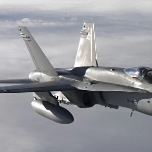 F / A-18 Hornet of the Finnish Air Force