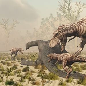 A family of T. Rex dinosaurs feed on the carcass of a sauropod