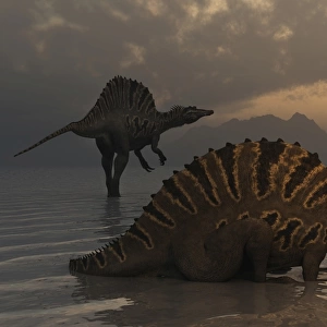 A group of Spinosaurus