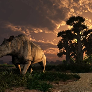 A Megacerops grazing a prehistoric landscape