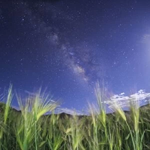 The Milky Way shines brightly over a hulless barley field in Tibet, China