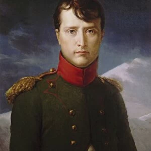 Napoleon Bonaparte Premier Consul