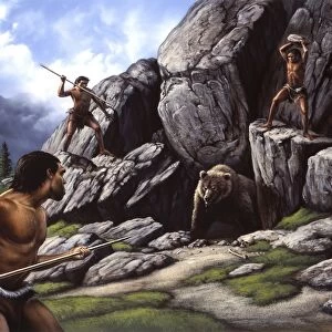 Neanderthals hunt a cave bear