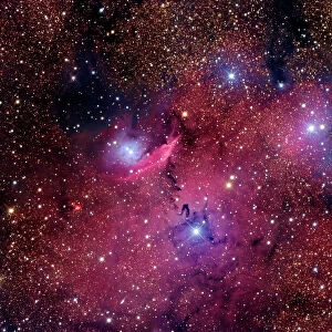 NGC 6559 is a rich colorful tapestry of diverse nebulosity in the constellation Sagittarius
