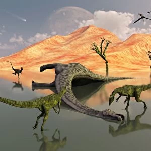 A pack of carnivorous Dilophosaurus discover a dead sauropod
