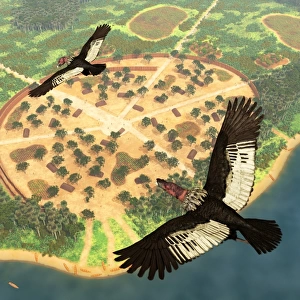 A pair of Andean Condors fly over an Amazonian village