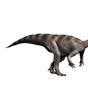 Plateosaurus dinosaur