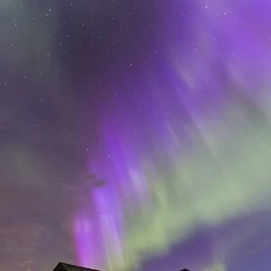 Purple aurora over an old barn in southern Alberta, Canada