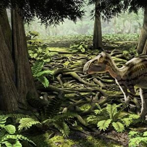 The rhabdodontid iguanodont Zalmoxes robustus
