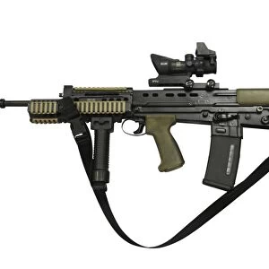 SA80 L85A2 rifle variant