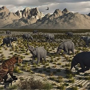 A Sabre-Toothed Tiger stalks a herd of Deinotherium