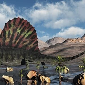A sail-backed Dimetrodon from Earths Permian period of time