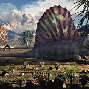 Sail-backed Dimetrodons, alive during Earths Permian period of time