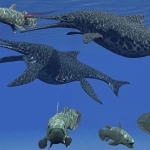 A Shonisaurus Ichthyosaur stabs a Coelacanth fish in Triassic seas