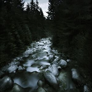 Small river flowing over large stones in the forest of Pirin National Park, Bulgaria