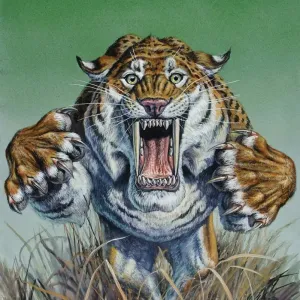 Sabertooth
