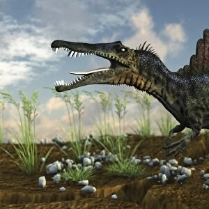 Spinosaurus in a desert landscape