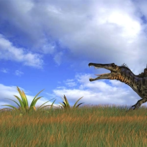 Spinosaurus hunting in prehistoric grasslands