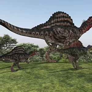 A Spinosaurus mother walks with her youngsters in prehistoric times