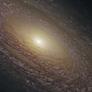 Spiral Galaxy NGC 2841